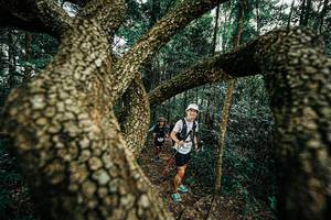 BIB: 
                            <button type="button" onclick="openModal(25393335)" class="btn btn-primary btn-sm float-right btn-popup" data-toggle="modal" data-target=".modal-high-quality">
                        <i class="fas fa-shopping-cart"></i> Add to Cart
                    </button>
                                            <button type="button" onclick="isThisMe(25393335, true)" class="btn btn-success btn-sm float-right btn-popup btn-isme hidden" data-toggle="tooltip" data-placement="bottom" title="นี่คือรูปของคุณใช่ไหม คลิกที่นี่เพื่อเอาเข้าอัลบั้ม">
                        <i class="fas fa-plus"></i> Add to album
                    </button>
                    <button type="button" onclick="isThisMe(25393335, false)" class="btn btn-warning btn-sm float-right btn-popup btn-isnotme hidden">
                        <i class="fas fa-ban"></i> Remove from album
                    </button>